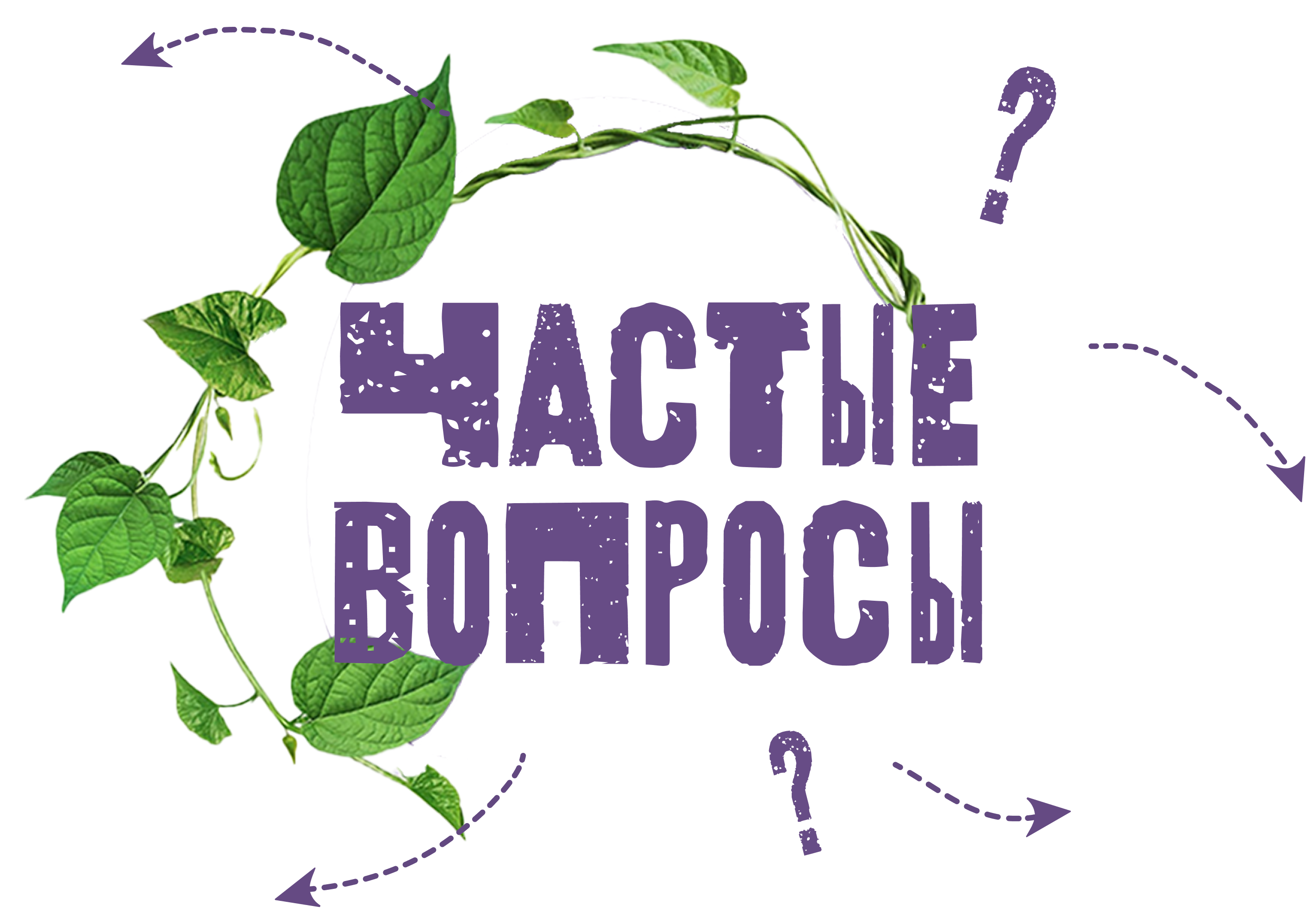 questions