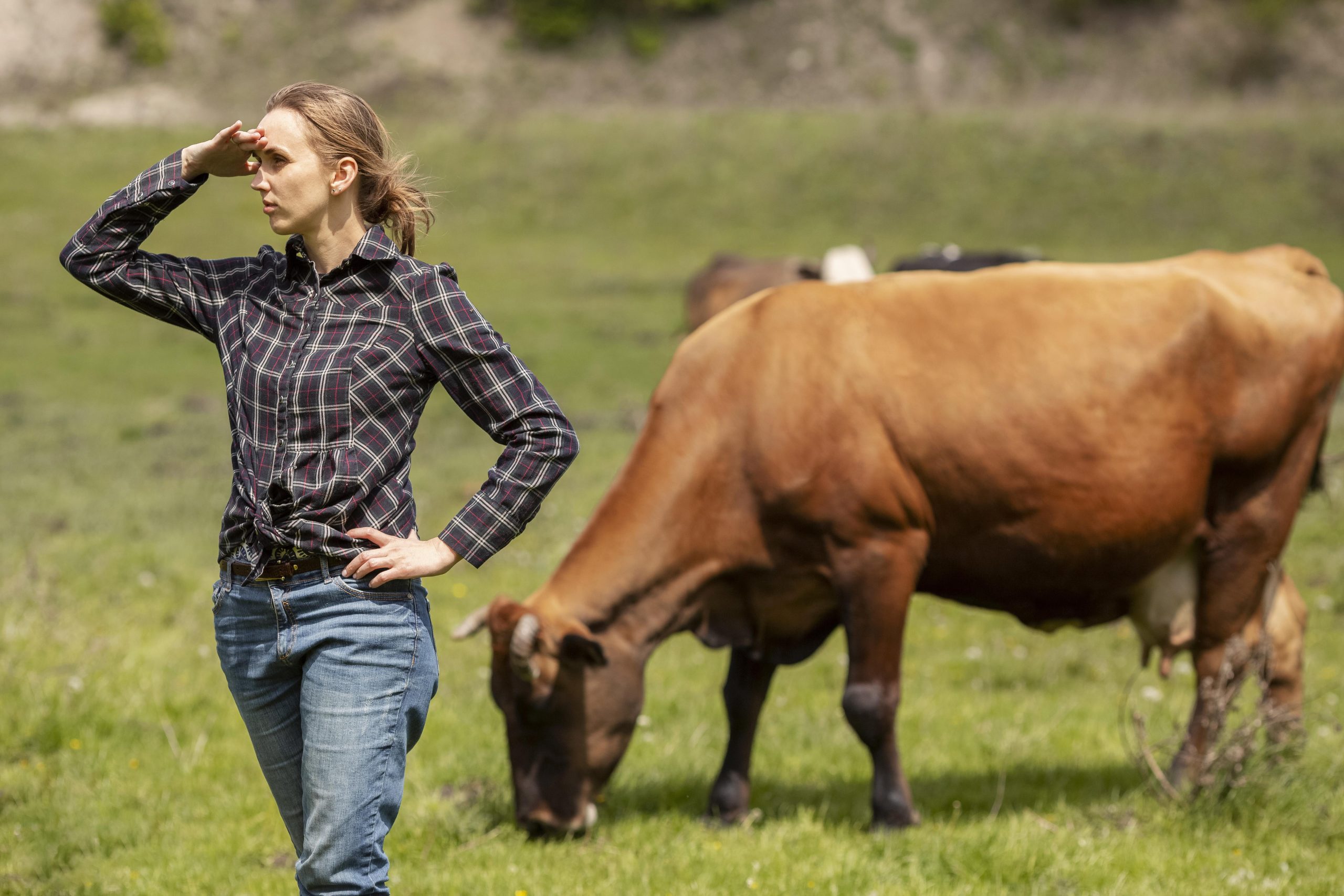В чем разница между веганством и вегетарианством?